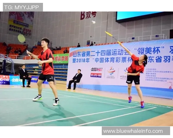 羽毛球赛事裁判判罚标准及公平性分析 羽毛球赛事裁判判罚标准及公平性分析