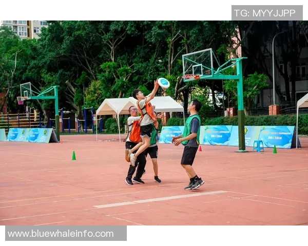 盘点精彩体育综艺节目推荐带你感受竞技魅力与娱乐激情