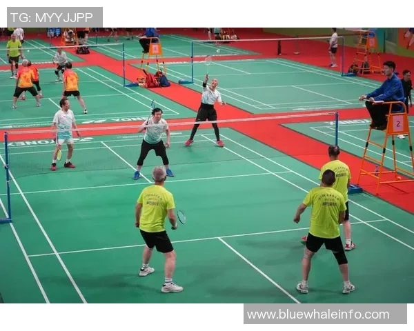 羽毛球比赛场地条件对运动员竞技水平和比赛表现发挥的综合性影响研究 羽毛球比赛场地条件对运动员竞技水平和比赛表现发挥的综合性影响研究