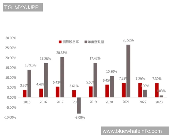 数据模型分析维尼修斯比赛胜率预测结果及其背后逻辑解析